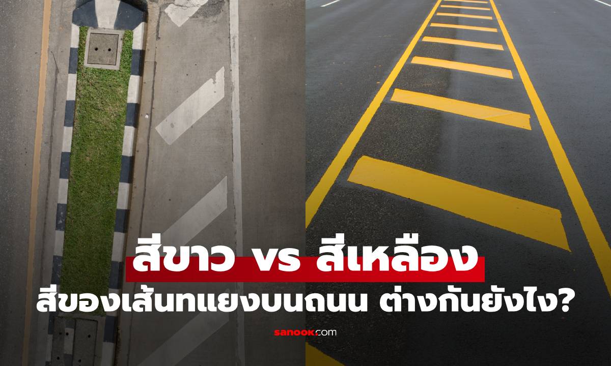 เส้นทแยงสีขาว vs เส้นทแยงสีเหลือง ต่างกันยังไง? รู้ไว้ขับขี่ปลอดภัย ไม่ผิดกฎจราจร!