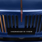 HONGQI E-HS9