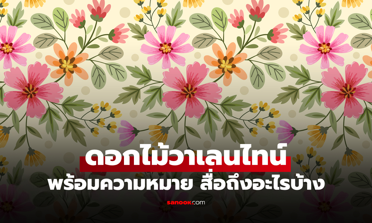 รู้จัก ดอกไม้วาเลนไทน์ 2026 พร้อมความหมาย ดอกไม้แต่ละชนิดสื่ออะไรบ้าง