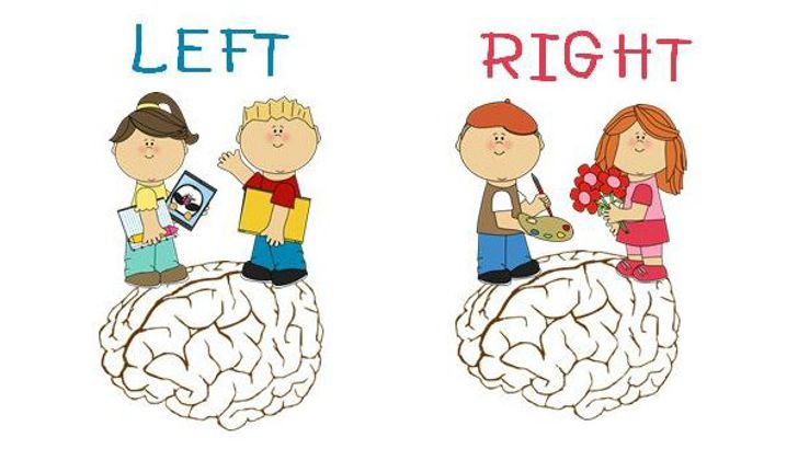 แบบทดสอบ : สมองคุณเด่นซีก ซ้าย หรือ ขวา ?