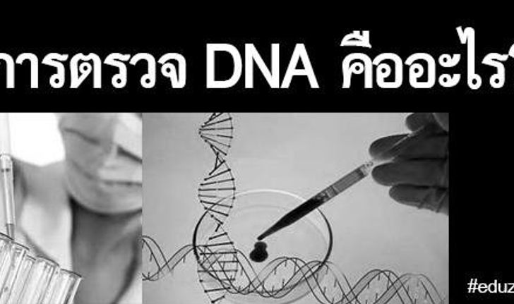 การตรวจ DNA คืออะไร?