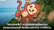 “ขนมควยลิง” เมนูของหวานชื่อแปลกแห่งแดนจันทบุรี กับวิธีการทำง่าย ๆ ได้ที่บ้าน
