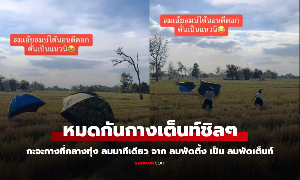 หมดกัน! กางเต็นท์กลางทุ่งกะเอาชิล สรุปกลายเป็นผู้ประสบภัยทางลม