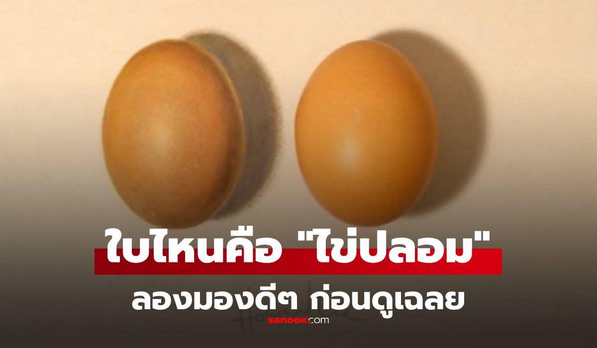 คนส่วนใหญ่พลาด! คุณหา "ไข่ปลอม" เจอไหม เฉลยแล้วใบไหนไม่ใช่ของจริง?