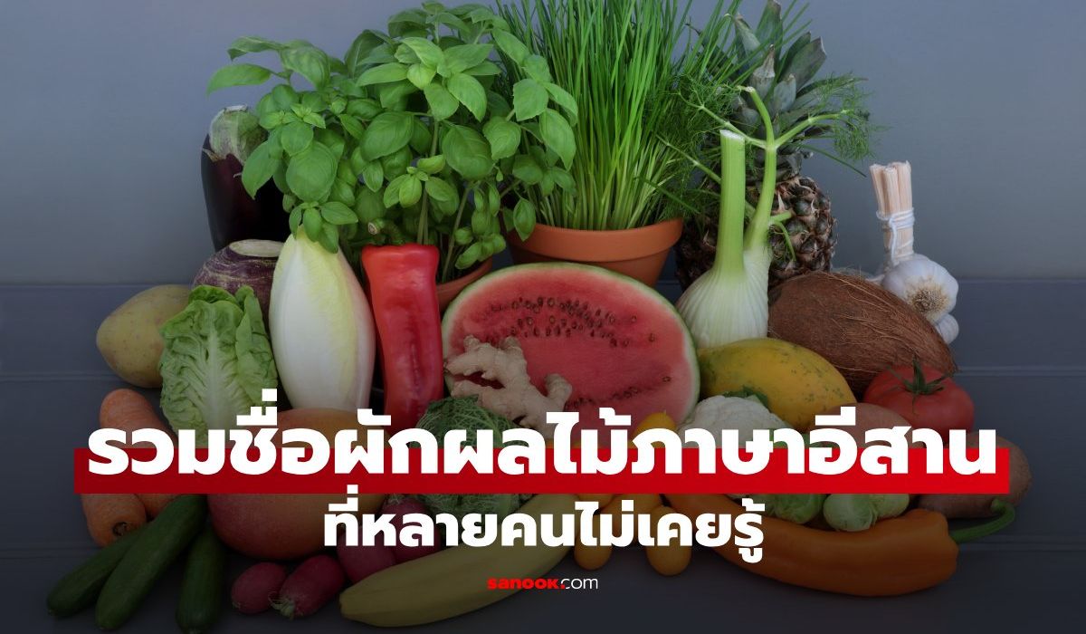 ผักผลไม้ภาษาอีสาน เรียกว่าอะไร? รวมกว่า 40 คำศัพท์อีสานที่คนภาคอื่นอาจไม่เคยรู้