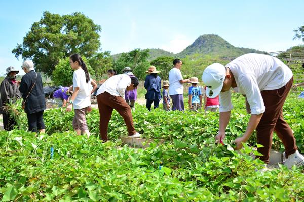 ภัทราวดี หัวหิน