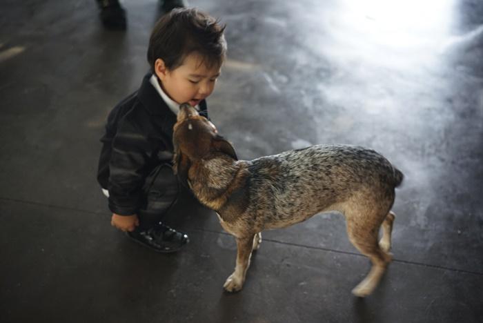 น้องดีแลน