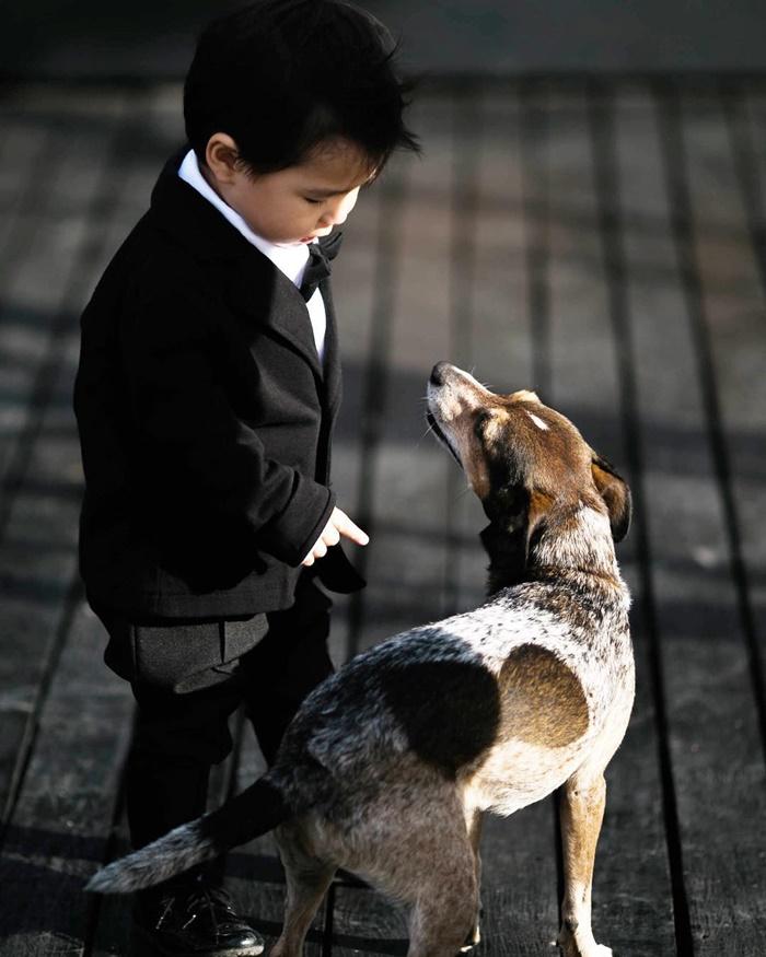 น้องดีแลน