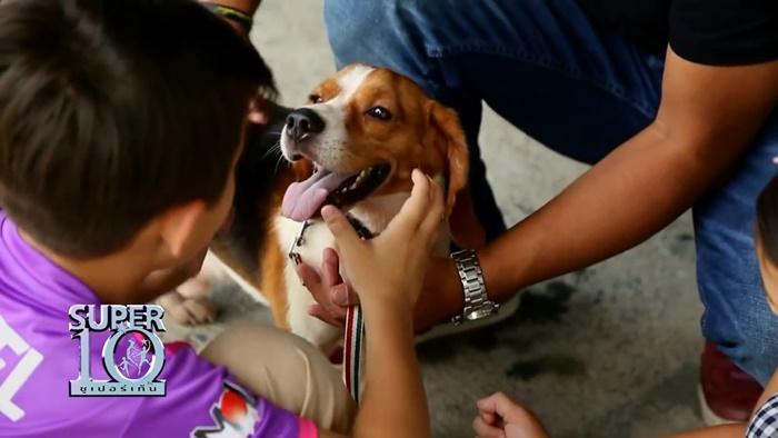 น้องแดเนียล SUPER 10