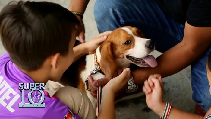 น้องแดเนียล SUPER 10