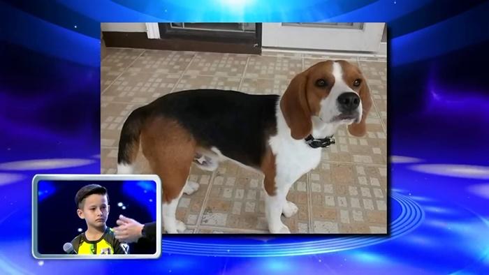 น้องแดเนียล SUPER 10