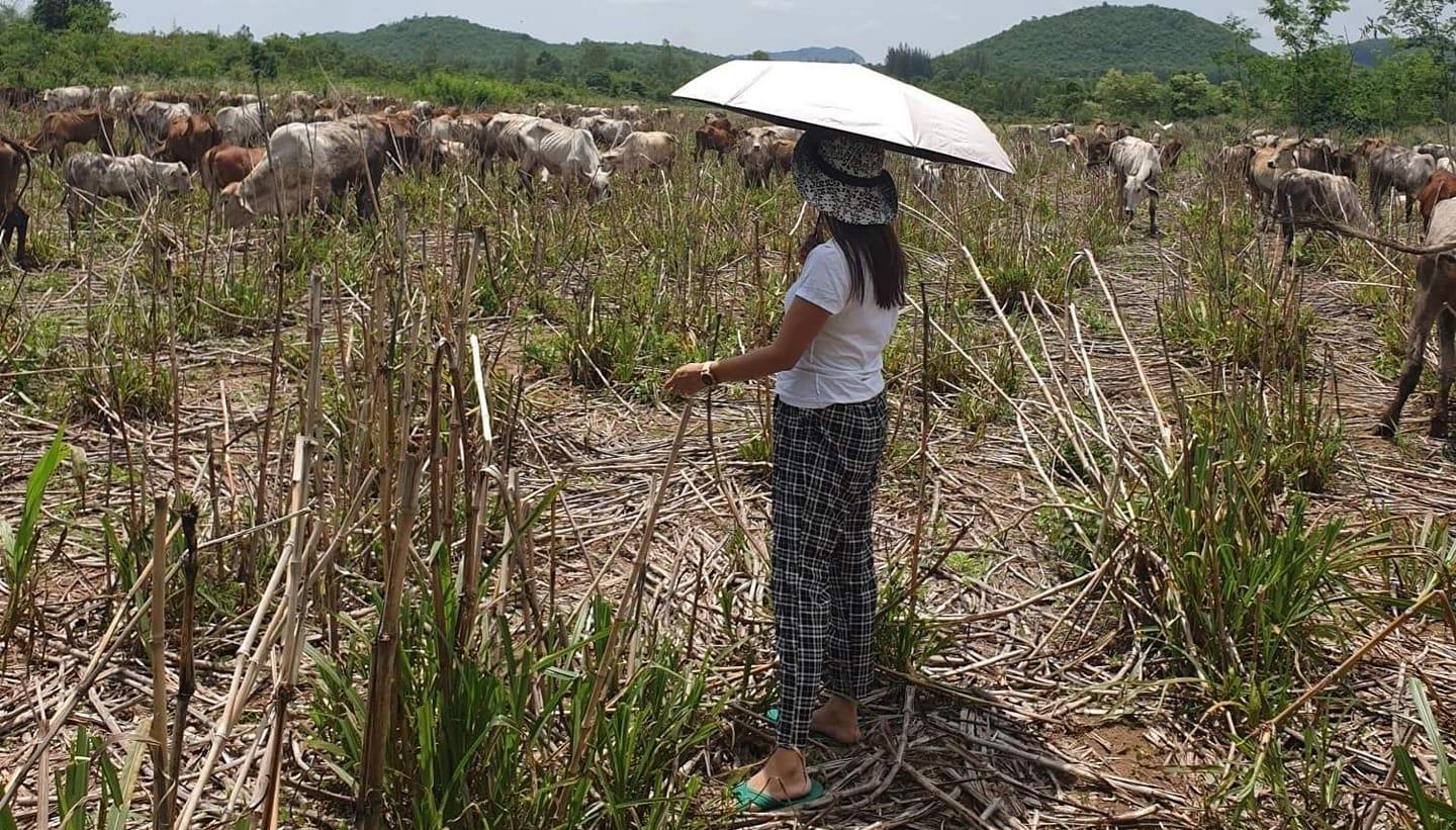 เอ๋ ปารีณา