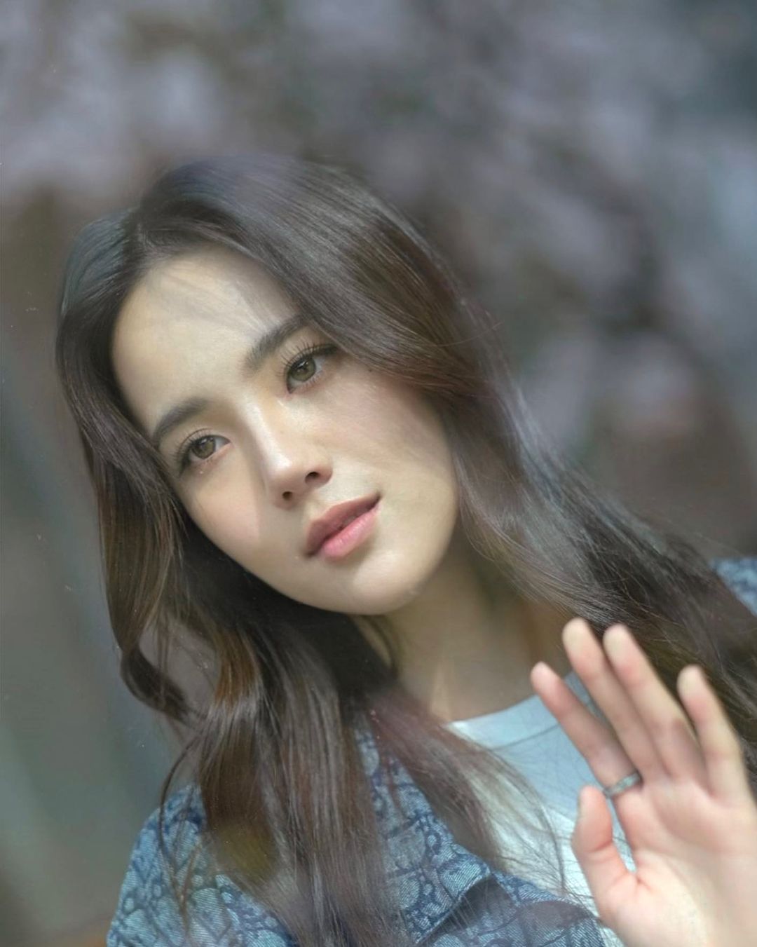 เจนิส เจณิสตา