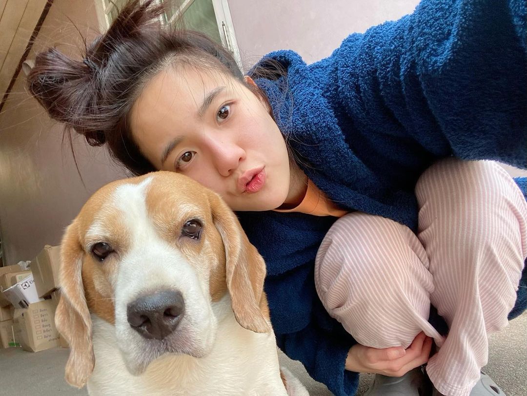 เจนิส เจณิสตา