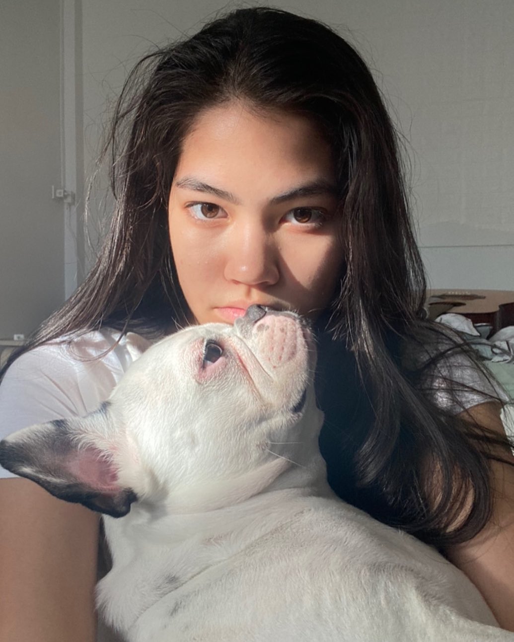 ชาร์เลท วาศิตา แฮเมเนา