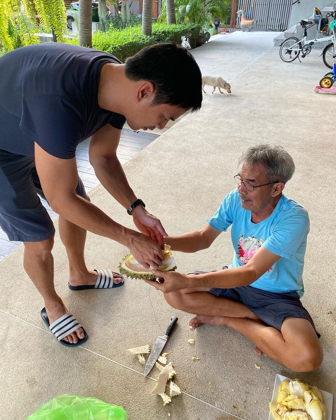 น็อต วรฤทธิ์