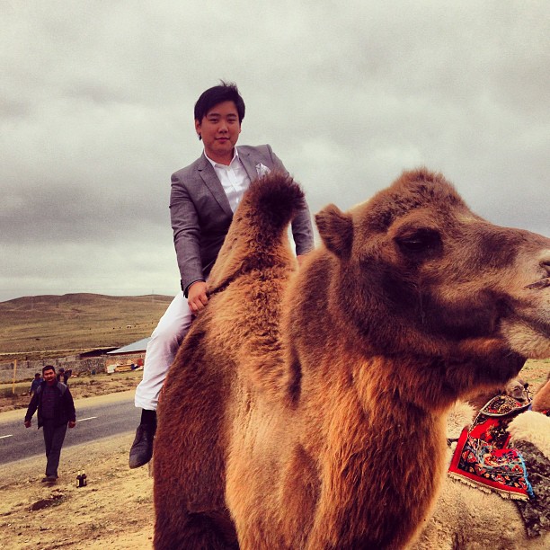 ไฮโซลูกนัท