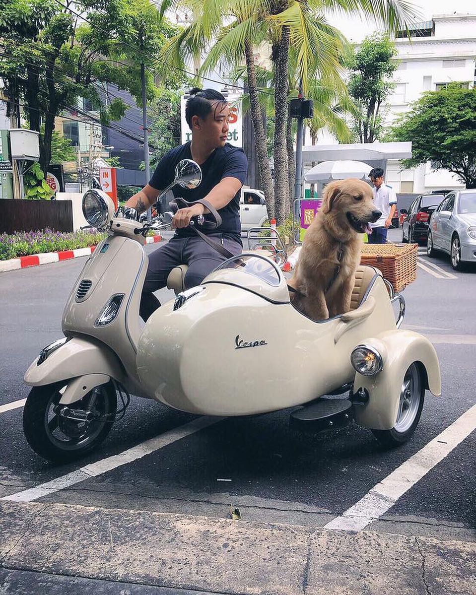 ไฮโซลูกนัท