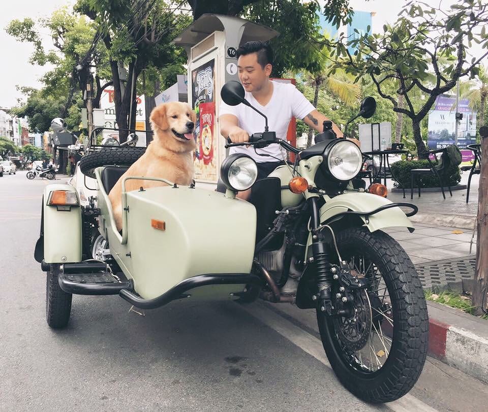 ไฮโซลูกนัท