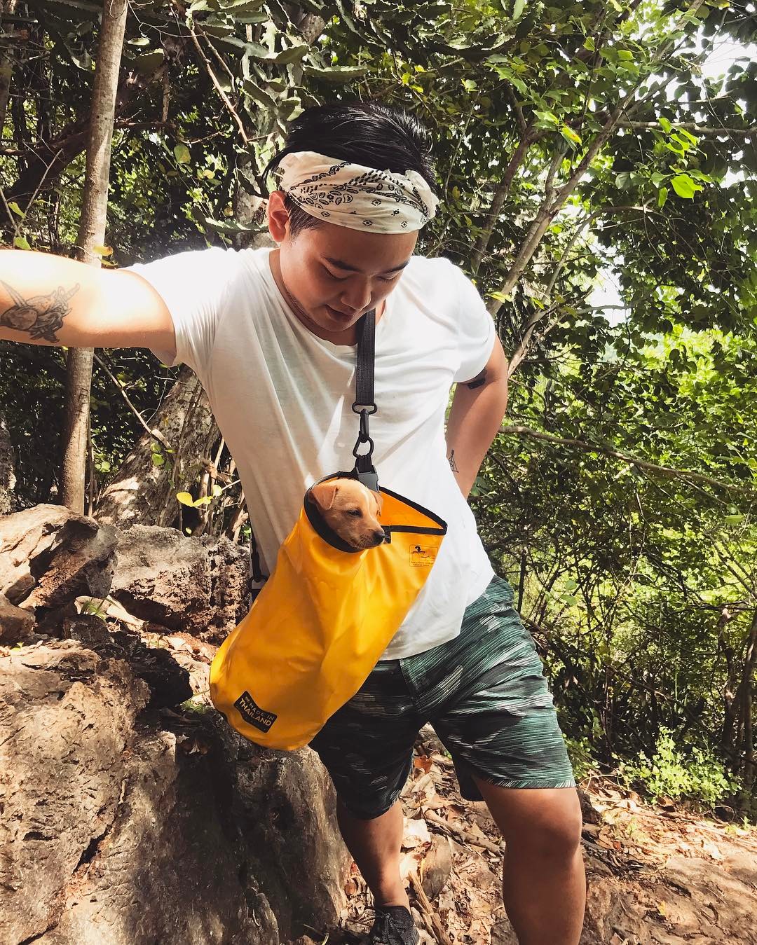 ไฮโซลูกนัท