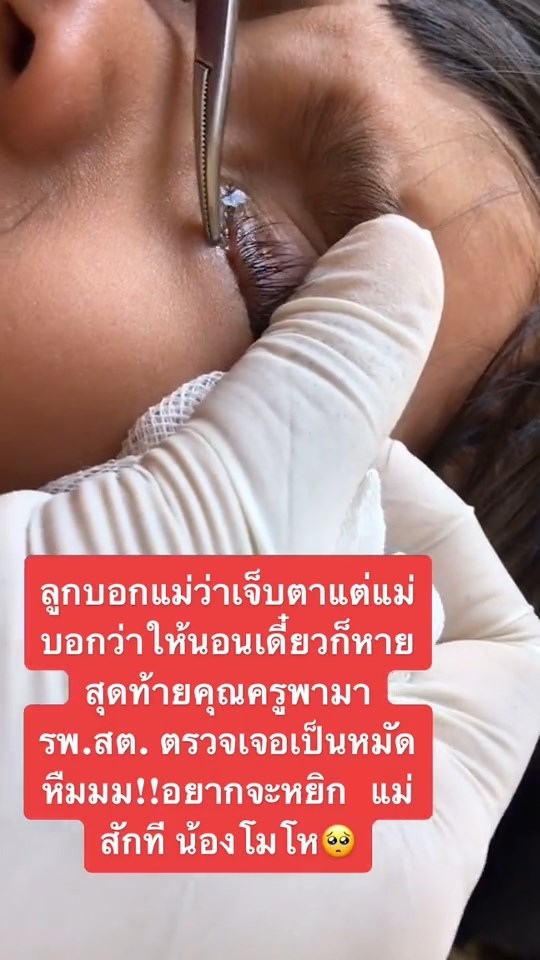 หมัดเกาะตานักเรียน