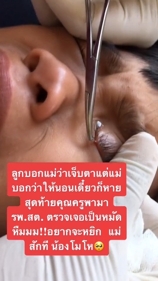 หมัดเกาะตานักเรียน