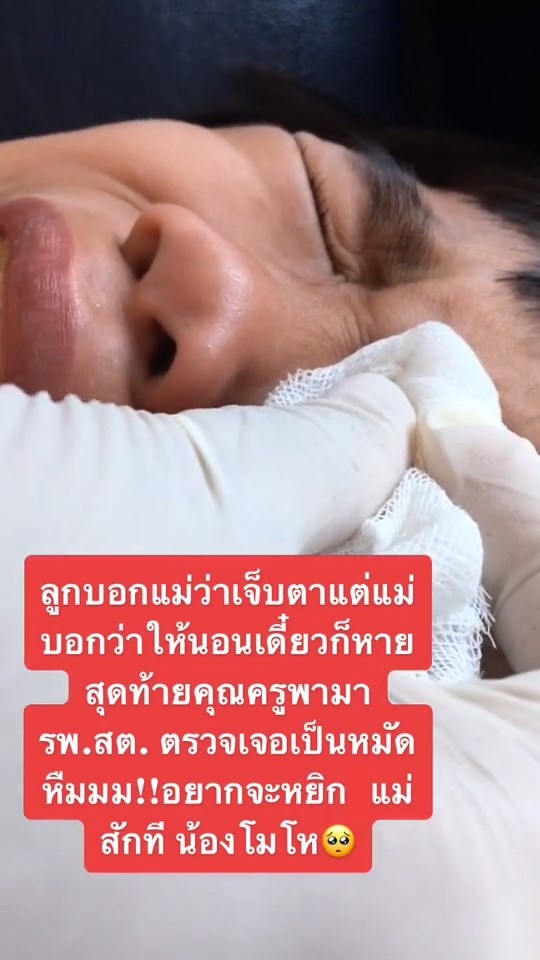 หมัดเกาะตานักเรียน