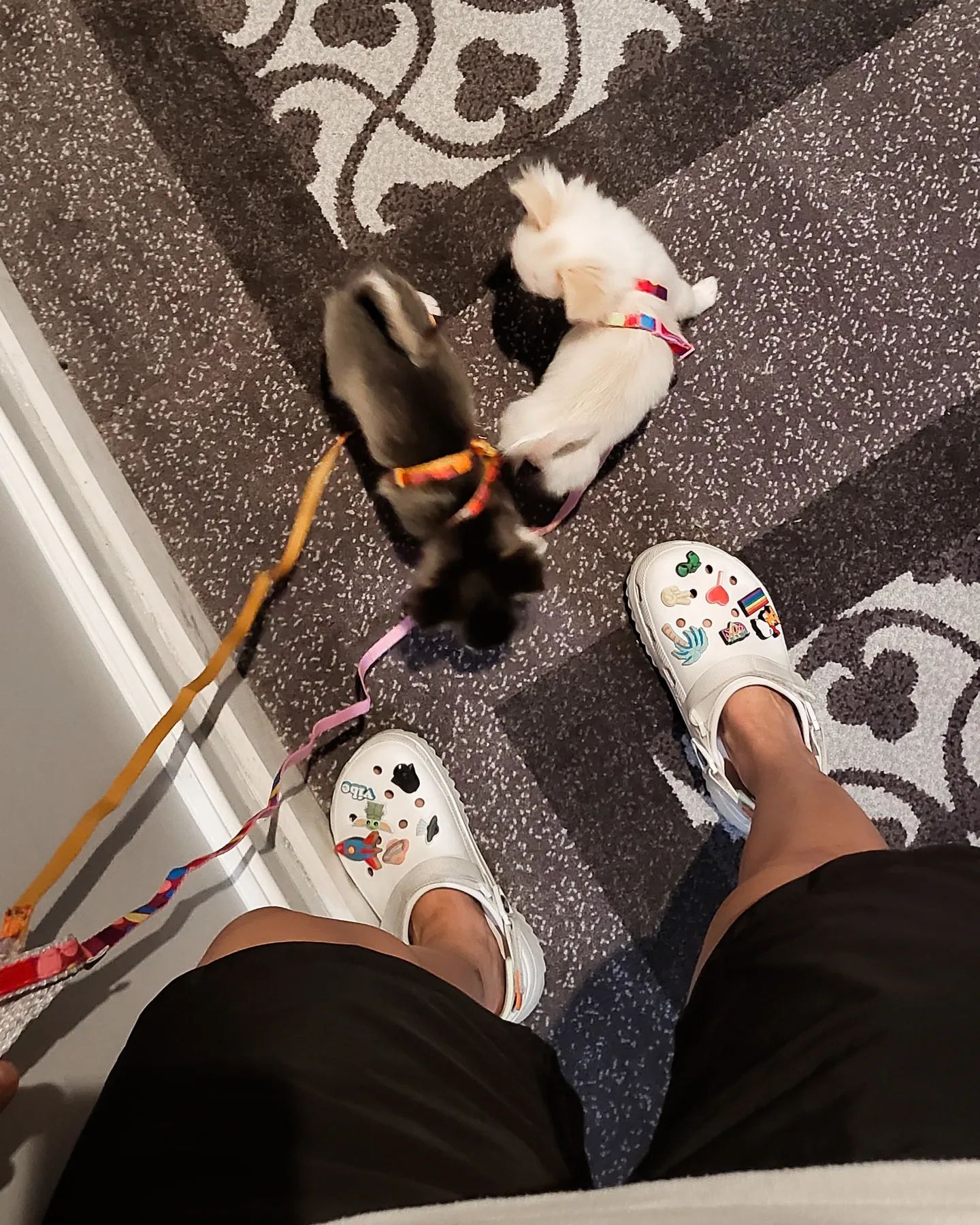 ติ๊นา ศุภนาฎ