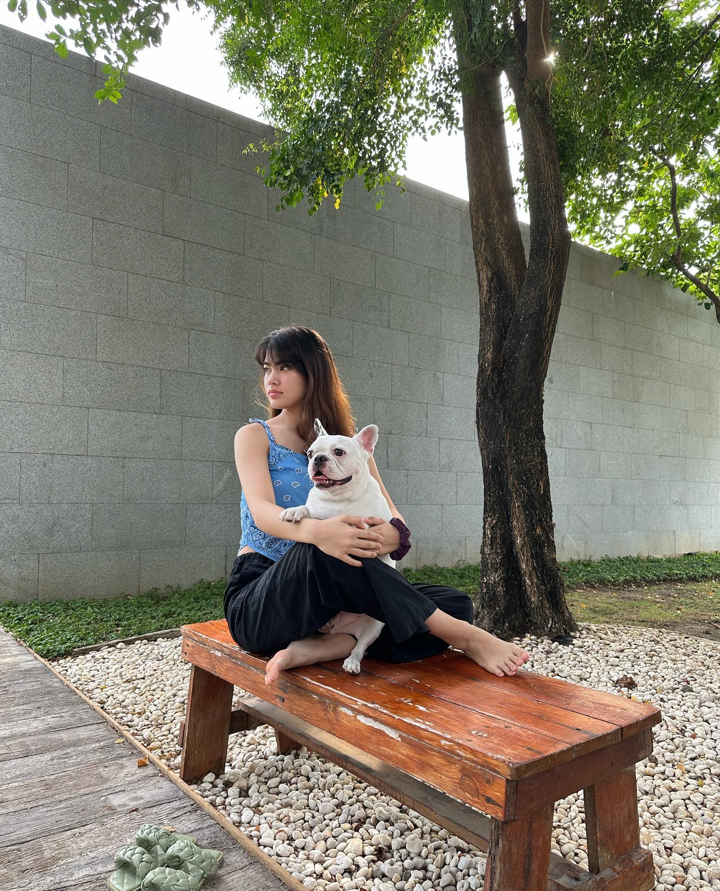 ชาร์เลท วาศิตา