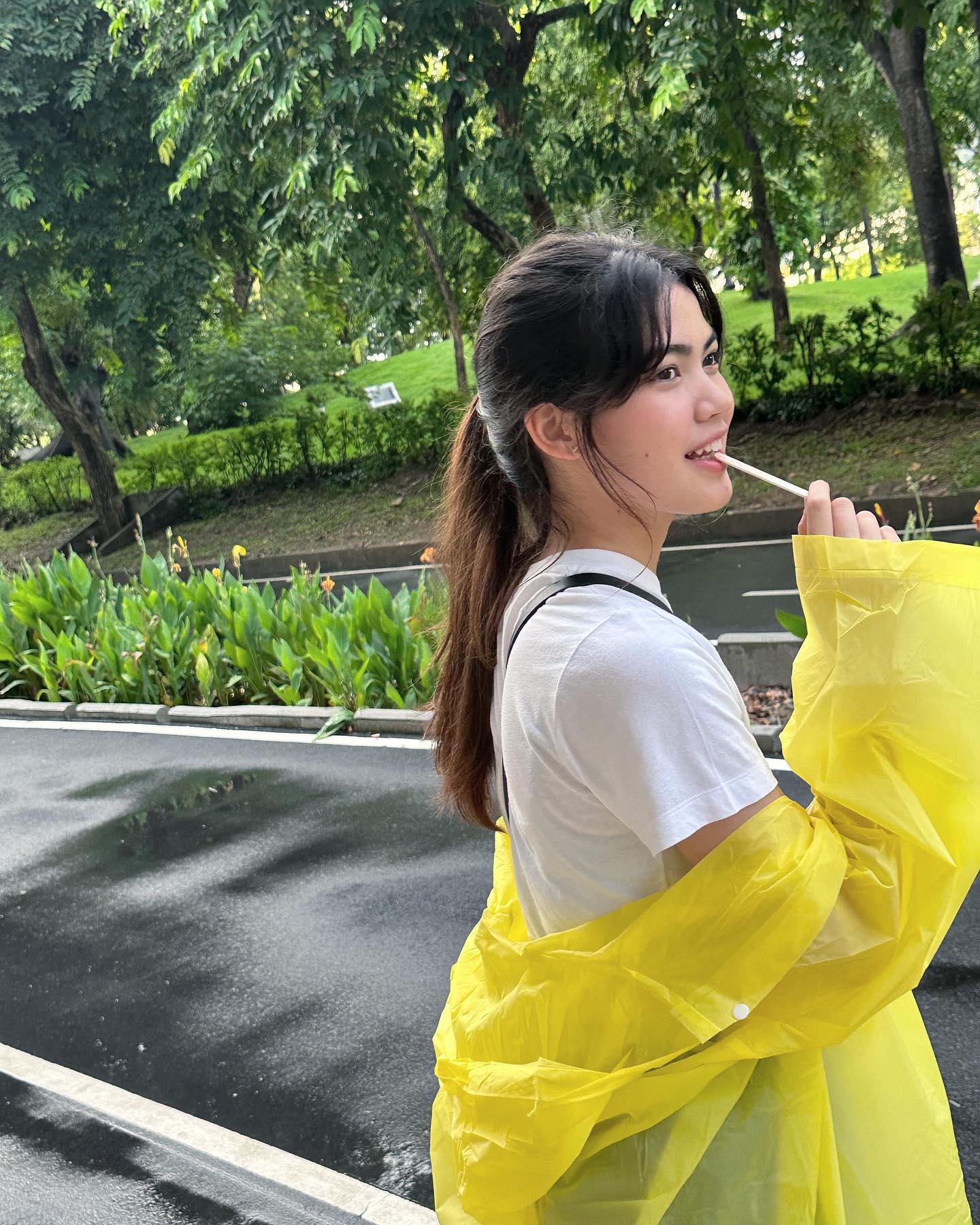 ชาร์เลท วาศิตา