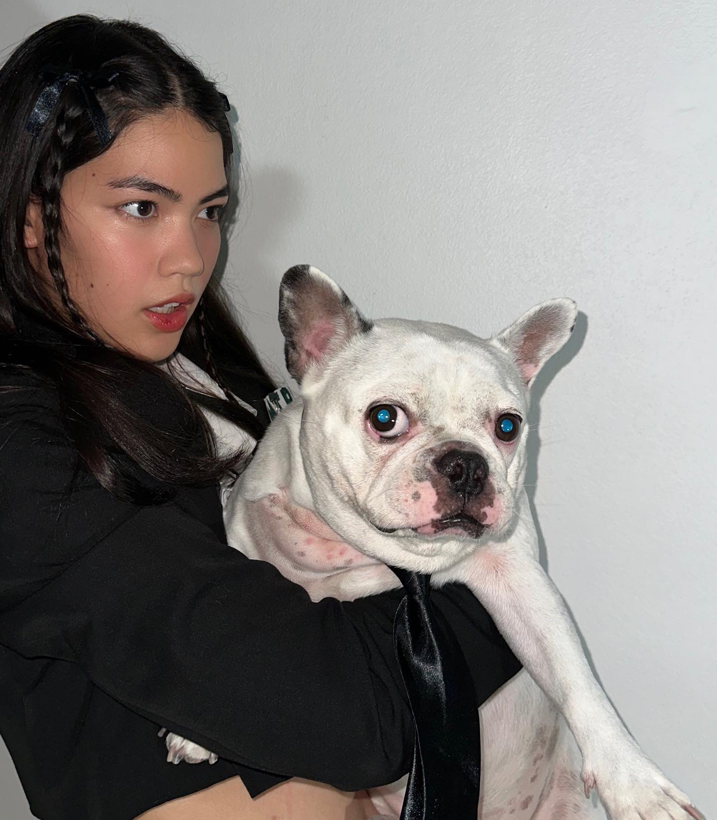 ชาร์เลท วาศิตา