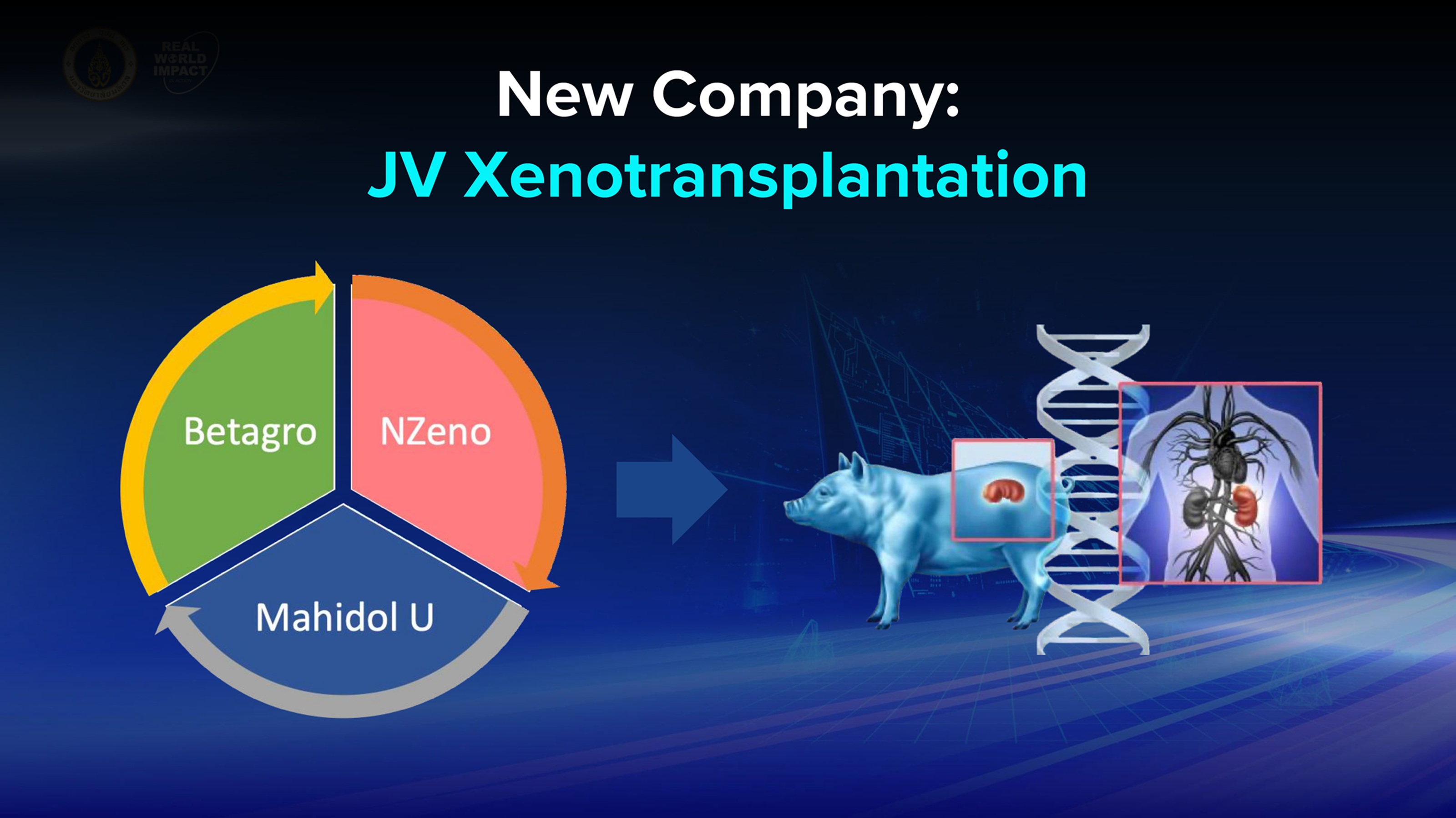 MU Synergy: Real World Impact in Action
