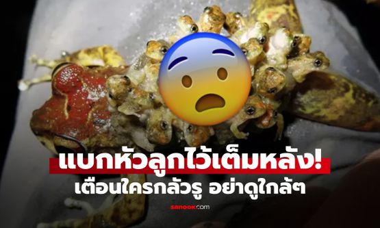 ไม่ได้เจอง่ายๆ สัตว์หายาก "หัวลูกกบ" งอกเต็มหลัง 20 หัว แค่รูปก็ทำสะพรึงทั้งโซเชียล!!!