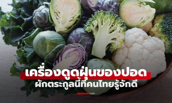 ผักตระกูลนี้ถูกยกย่องเป็น "เครื่องดูดฝุ่นสำหรับปอด" เสริมสร้างภูมิคุ้มกัน ช่วยยืดอายุ