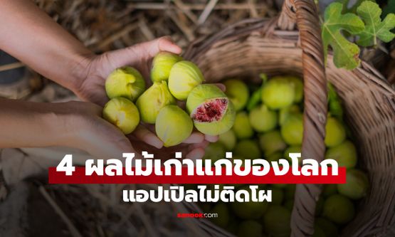 เปิดประวัติศาสตร์ 4 ผลไม้เก่าแก่ที่สุดของมนุษยชาติ แอปเปิลที่ตำนานดังๆ ยังไม่ติดโผ!