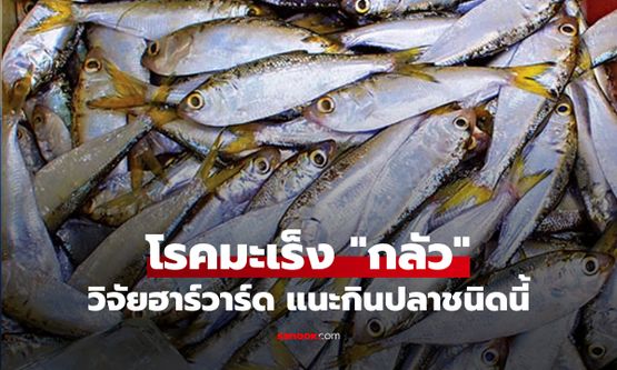 วิจัยฮาร์วาร์ดชี้เป้า 1 ปลาที่กินดี "มะเร็งกลัว" หาซื้อง่าย-ราคาถูก แถมช่วยบำรุงกระดูก