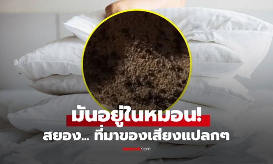 ได้ยินเสียงแปลกๆ ออกมาจาก "หมอน" สาวใจกล้ารูดซิปเช็ก เห็นภาพสยองคาที่นอน!