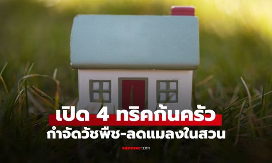 ไม่ต้องใช้สารเคมี! เผย 4 ทริคก้นครัว กำจัดวัชพืช-ลดแมลงในสวน อย่างปลอดภัย