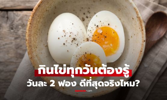 กินไข่วันละ 2 ฟอง ดีจริงไหม? เช็กให้ชัด โปรตีนสูง หรือคอเลสเตอรอลสูงก่อน