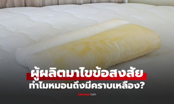 ทำไมหมอนถึงมีคราบเหลือง? ผู้ผลิตเฉลย หมอนแบบไหนซักเครื่องได้-ห้ามซักน้ำ