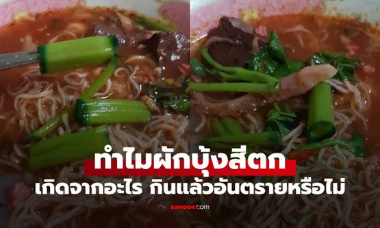 ทำไมผักบุ้งสีตก? เกิดจากอะไร สีเขียวเข้มผิดปกติ กินแล้วอันตรายหรือไม่