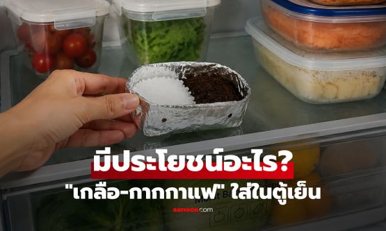 การใส่ "เกลือ-กากกาแฟ" ในตู้เย็น เปิดอีกทีเปลี่ยนไปอย่างไร? กูรูเฉลยประโยชน์สุดว้าว!