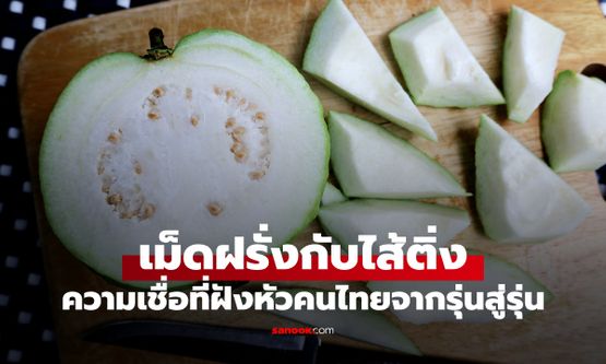 กินเม็ดฝรั่ง เสี่ยงเป็นไส้ติ่งอักเสบจริงไหม? ความเชื่อที่ฝังหัวคนไทยจากรุ่นสู่รุ่น
