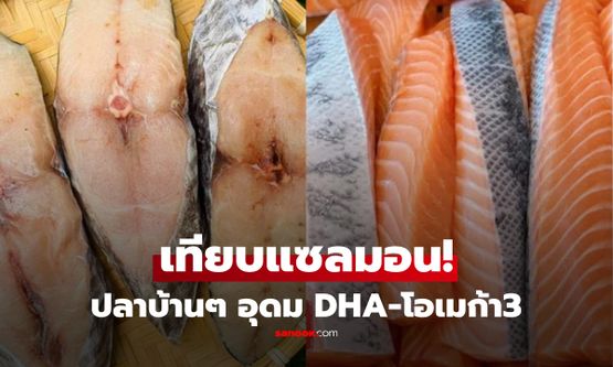 ไม่ง้อแซลมอน! แนะนำ "ปลาราคาบ้านๆ" แต่อุดม DHA และโอเมก้า-3 รู้แล้วต้องลอง