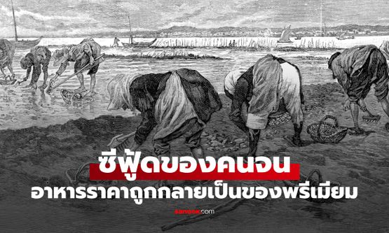 ย้อนตำนาน "ซีฟู้ดคนจน" จากอาหารราคาถูกข้างถนน กลายเป็นเมนูโด๊ปสุดพรีเมียม