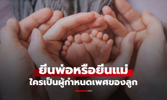 เฉลยความจริง "พ่อ vs แม่" ยีนของใครกำหนดเพศลูก ว่าจะได้ลูกชายหรือลูกสาว?