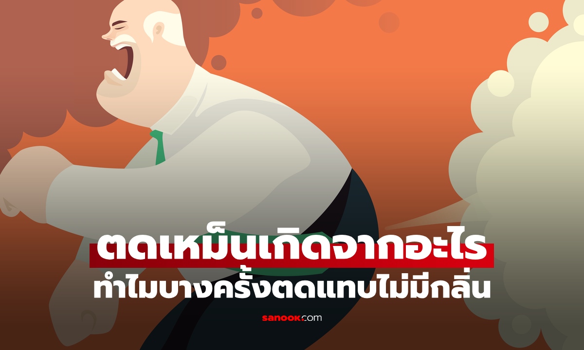 ตดเหม็นเกิดจากอะไร? ทำไมบางครั้งตดไม่มีกลิ่น ไม่ใช่เพราะแก๊สในลำไส้อย่างเดียว