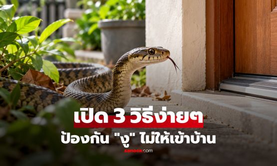 เปิด 3 วิธีง่ายๆ ในการป้องกัน "งู" ไม่ให้เข้ามาในบ้านของคุณ!