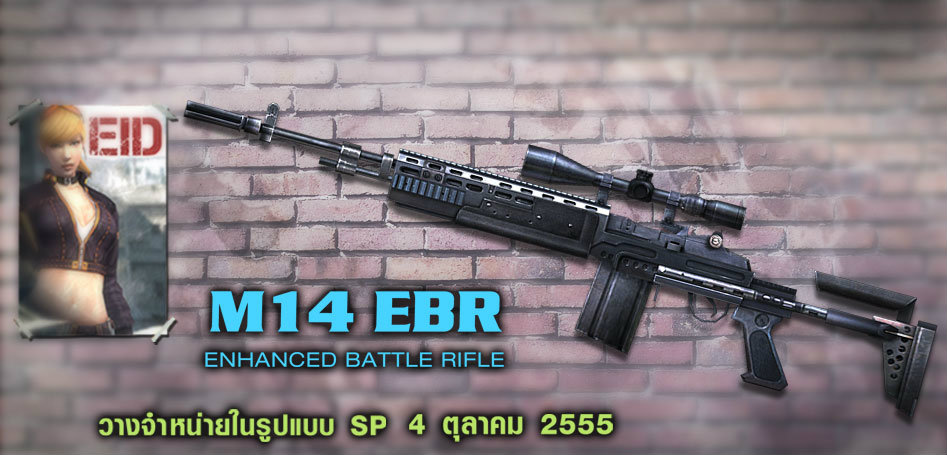 Special Force: M14 EBR ENHANCED BATTLE RIFLE