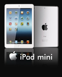 เกมส์ The King of Soldier เกมส์ The King of Soldier